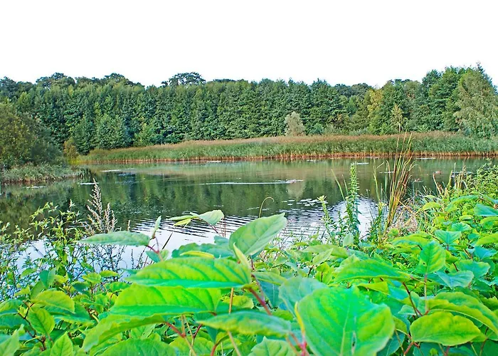 Irs Royal Irs Fregata דירה